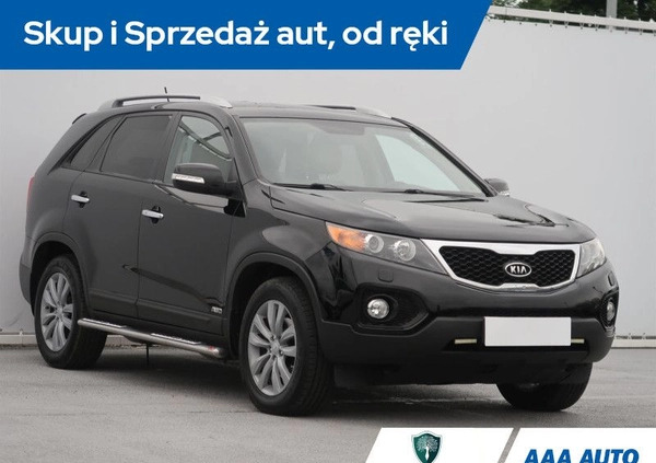 Kia Sorento cena 56000 przebieg: 131500, rok produkcji 2011 z Krzywiń małe 436